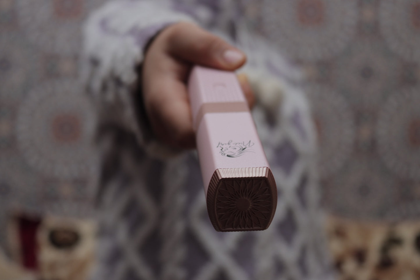 Lisseur de cheveux  Portable Nice Girl