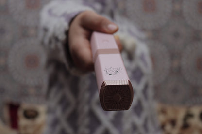 Lisseur de cheveux  Portable Nice Girl